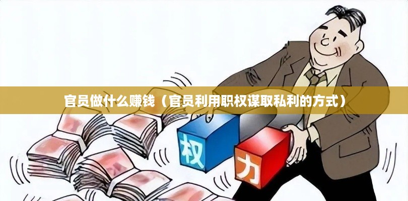 官员做什么赚钱（官员利用职权谋取私利的方式）