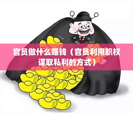 官员做什么赚钱（官员利用职权谋取私利的方式）