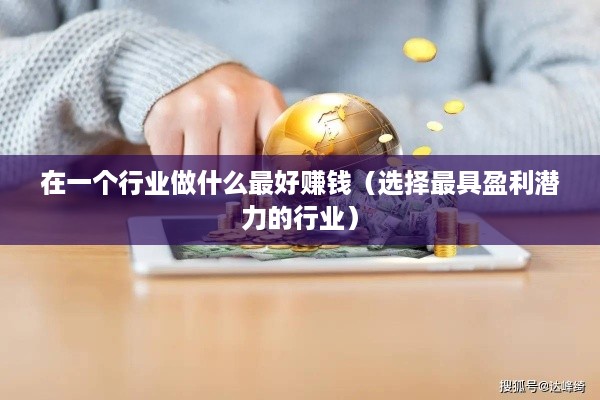 在一个行业做什么最好赚钱（选择最具盈利潜力的行业）