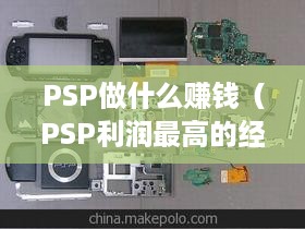 PSP做什么赚钱（PSP利润最高的经营项目）