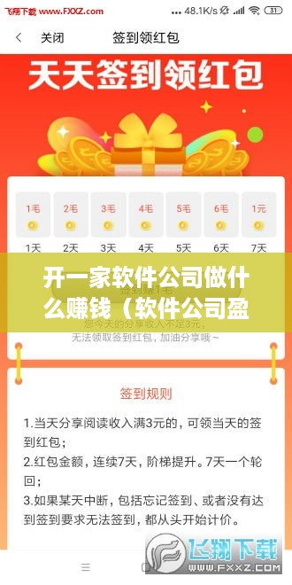 开一家软件公司做什么赚钱（软件公司盈利模式解析）