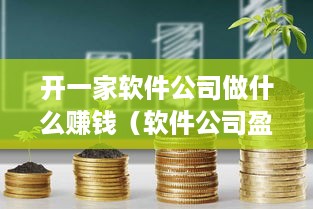 开一家软件公司做什么赚钱（软件公司盈利模式解析）