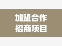 加盟合作招商项目怎么做 招商加盟合作方案