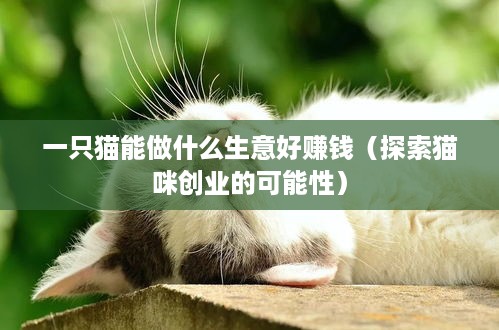 一只猫能做什么生意好赚钱（探索猫咪创业的可能性）