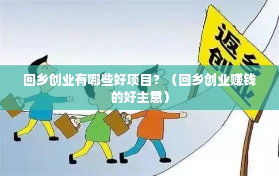 回乡创业有哪些好项目？（回乡创业赚钱的好主意）