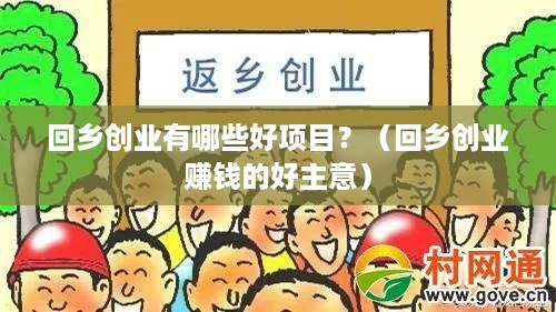 回乡创业有哪些好项目？（回乡创业赚钱的好主意）