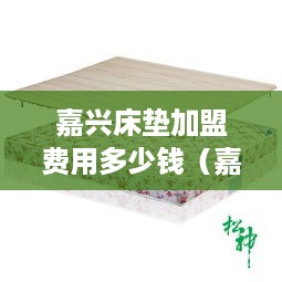 嘉兴床垫加盟费用多少钱（嘉兴床垫加盟详细费用解析）