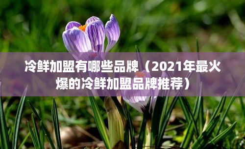 冷鲜加盟有哪些品牌（2021年最火爆的冷鲜加盟品牌推荐）