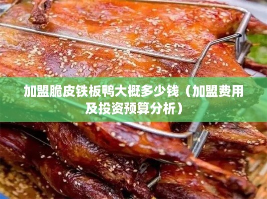 加盟脆皮铁板鸭大概多少钱（加盟费用及投资预算分析）