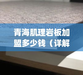 青海肌理岩板加盟多少钱（详解青海肌理岩板加盟费用）