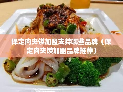 保定肉夹馍加盟支持哪些品牌（保定肉夹馍加盟品牌推荐）