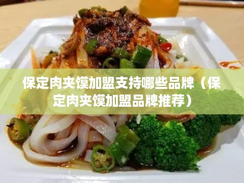 保定肉夹馍加盟支持哪些品牌（保定肉夹馍加盟品牌推荐）