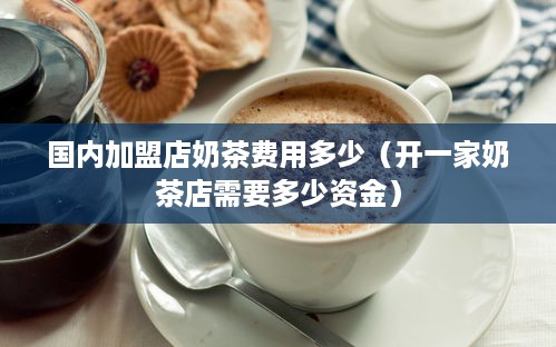 国内加盟店奶茶费用多少（开一家奶茶店需要多少资金）