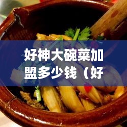 好神大碗菜加盟多少钱（好神大碗菜加盟费用一览）