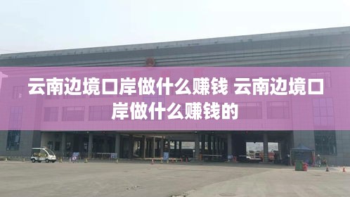 云南边境口岸做什么赚钱 云南边境口岸做什么赚钱的