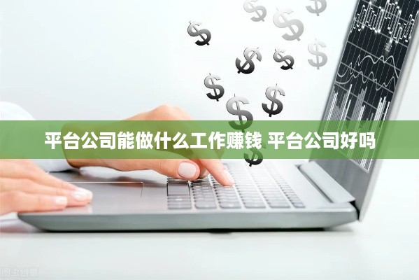 平台公司能做什么工作赚钱 平台公司好吗