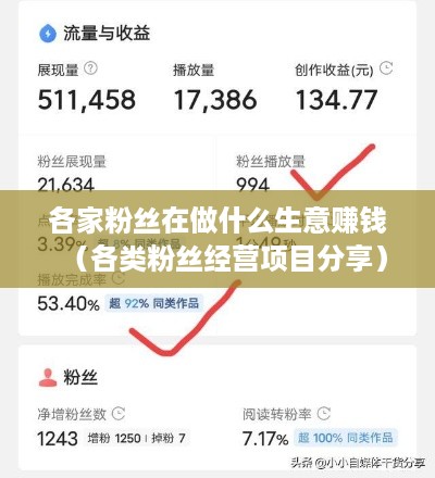 各家粉丝在做什么生意赚钱（各类粉丝经营项目分享）