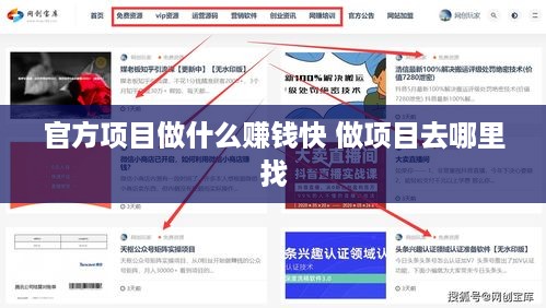 官方项目做什么赚钱快 做项目去哪里找