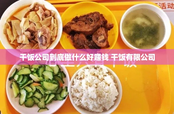 干饭公司到底做什么好赚钱 干饭有限公司