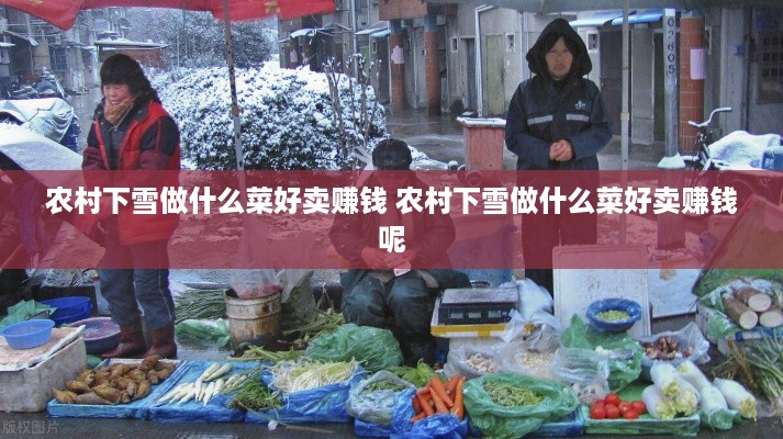 农村下雪做什么菜好卖赚钱 农村下雪做什么菜好卖赚钱呢