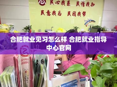 合肥就业见习怎么样 合肥就业指导中心官网