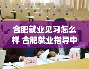 合肥就业见习怎么样 合肥就业指导中心官网