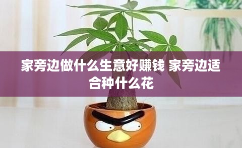 家旁边做什么生意好赚钱 家旁边适合种什么花