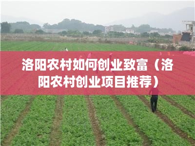 洛阳农村如何创业致富（洛阳农村创业项目推荐）