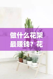 做什么花架最赚钱？花卉市场的利润奥秘大揭秘