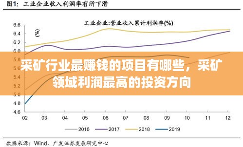 采矿行业最赚钱的项目有哪些，采矿领域利润最高的投资方向