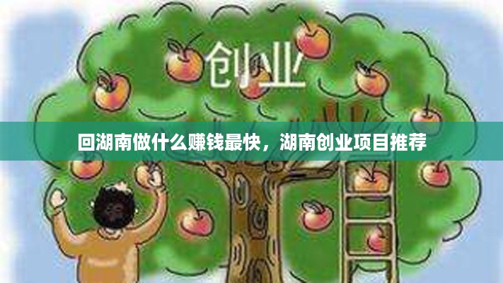 回湖南做什么赚钱最快，湖南创业项目推荐