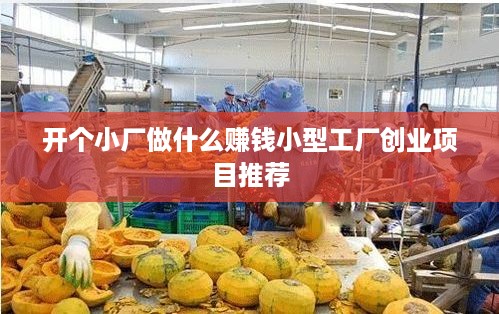 开个小厂做什么赚钱小型工厂创业项目推荐