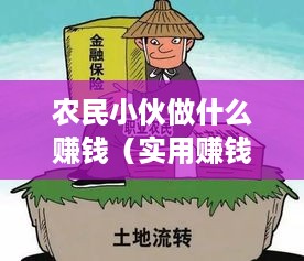 农民小伙做什么赚钱（实用赚钱项目推荐）