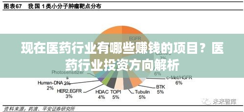 现在医药行业有哪些赚钱的项目？医药行业投资方向解析