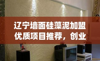 辽宁墙面硅藻泥加盟优质项目推荐，创业首选