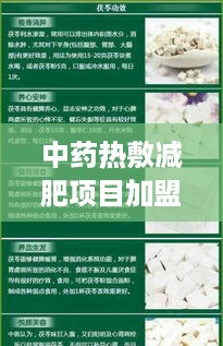 中药热敷减肥项目加盟店（加盟指南及运营策略）