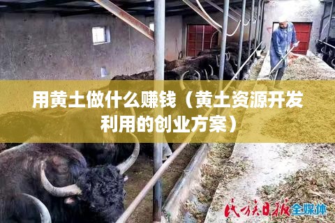 用黄土做什么赚钱（黄土资源开发利用的创业方案）