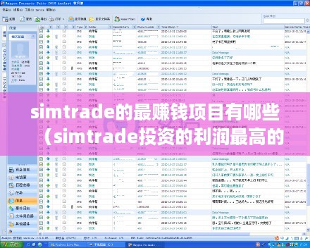 simtrade的最赚钱项目有哪些（simtrade投资的利润最高的行业）