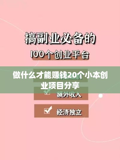 做什么才能赚钱20个小本创业项目分享