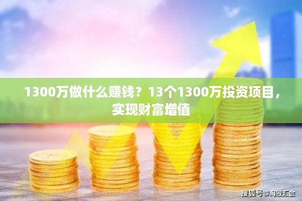 1300万做什么赚钱？13个1300万投资项目，实现财富增值