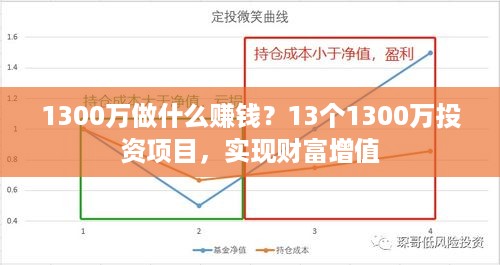 1300万做什么赚钱？13个1300万投资项目，实现财富增值