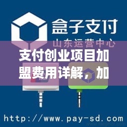 支付创业项目加盟费用详解，加盟费用结构分析