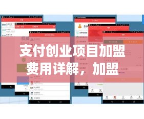 支付创业项目加盟费用详解，加盟费用结构分析