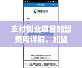 支付创业项目加盟费用详解，加盟费用结构分析