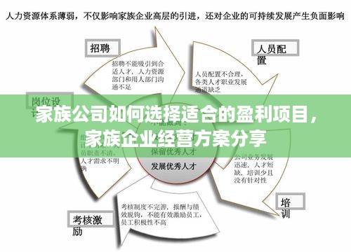 家族公司如何选择适合的盈利项目，家族企业经营方案分享