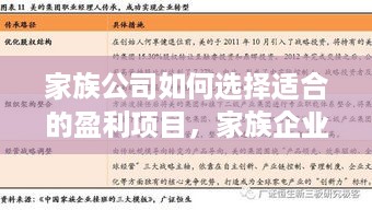 家族公司如何选择适合的盈利项目，家族企业经营方案分享