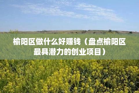 榆阳区做什么好赚钱（盘点榆阳区最具潜力的创业项目）