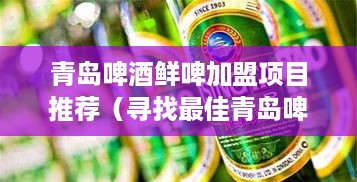 青岛啤酒鲜啤加盟项目推荐（寻找最佳青岛啤酒加盟商机）