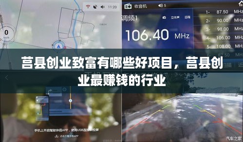 莒县创业致富有哪些好项目，莒县创业最赚钱的行业