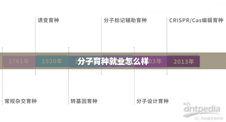 分子育种就业怎么样